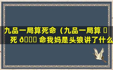 九品一局算死命（九品一局算 ☘ 死 🐋 命我妈是头狼讲了什么）